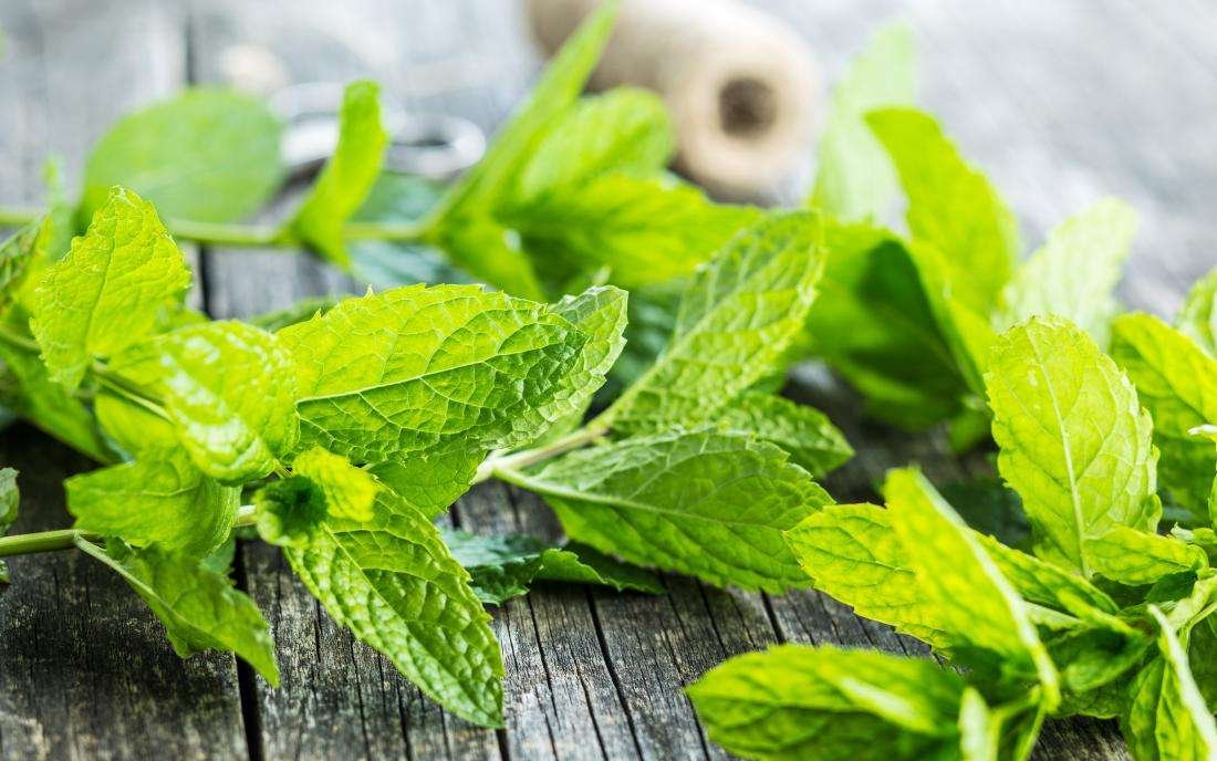 59. Mint