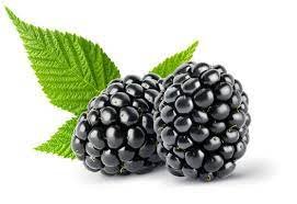 Blackberries1