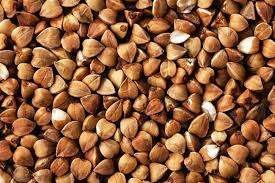 Buckwheat1