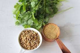 Cilantro..Coriander