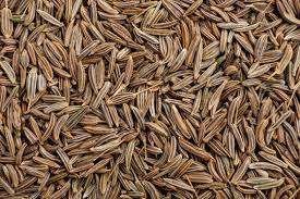 Cumin