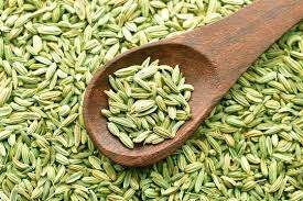 Fennel1