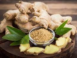 Ginger1