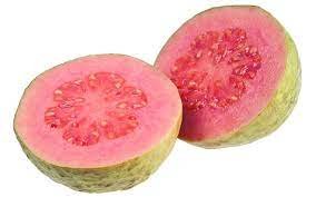 Guava1