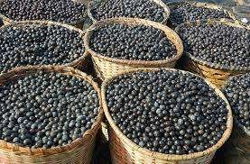 acai
